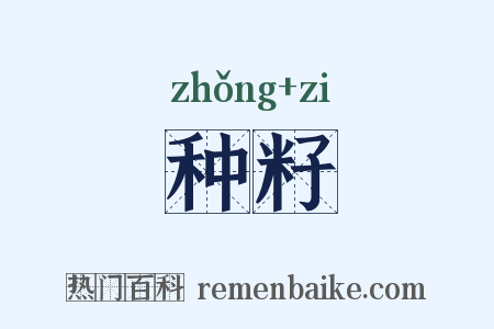 种籽是什么意思的图片